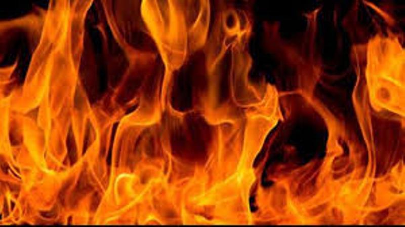 पार्टी प्यालेसमा आगलागी, ४५ लाखको क्षति