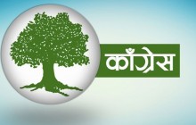 कांग्रेस केन्द्रीय कार्यसम्पादन समितिको बैठक भोलि बस्ने