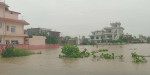 लगातार वर्षा हुँदा धनगढीमा दुई हजार घरमा बाढी पस्यो, आठ जनाको उद्धार