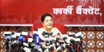 मेरो पार्टी सदस्यता नवीकरण भइसकेकाले विवादमा पार्नुपर्ने विषय नै होइन : भण्डारी