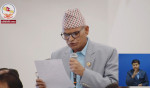 प्रधानमन्त्रीको अभिव्यक्तिबारे संसदमा जवाफ दिनुपर्ने सांसद पोखरेलको माग