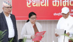 पूर्वराष्ट्रपति विद्यादेवी भण्डारी एमालेको वरिष्ठ उपाध्यक्षमा नियुक्त
