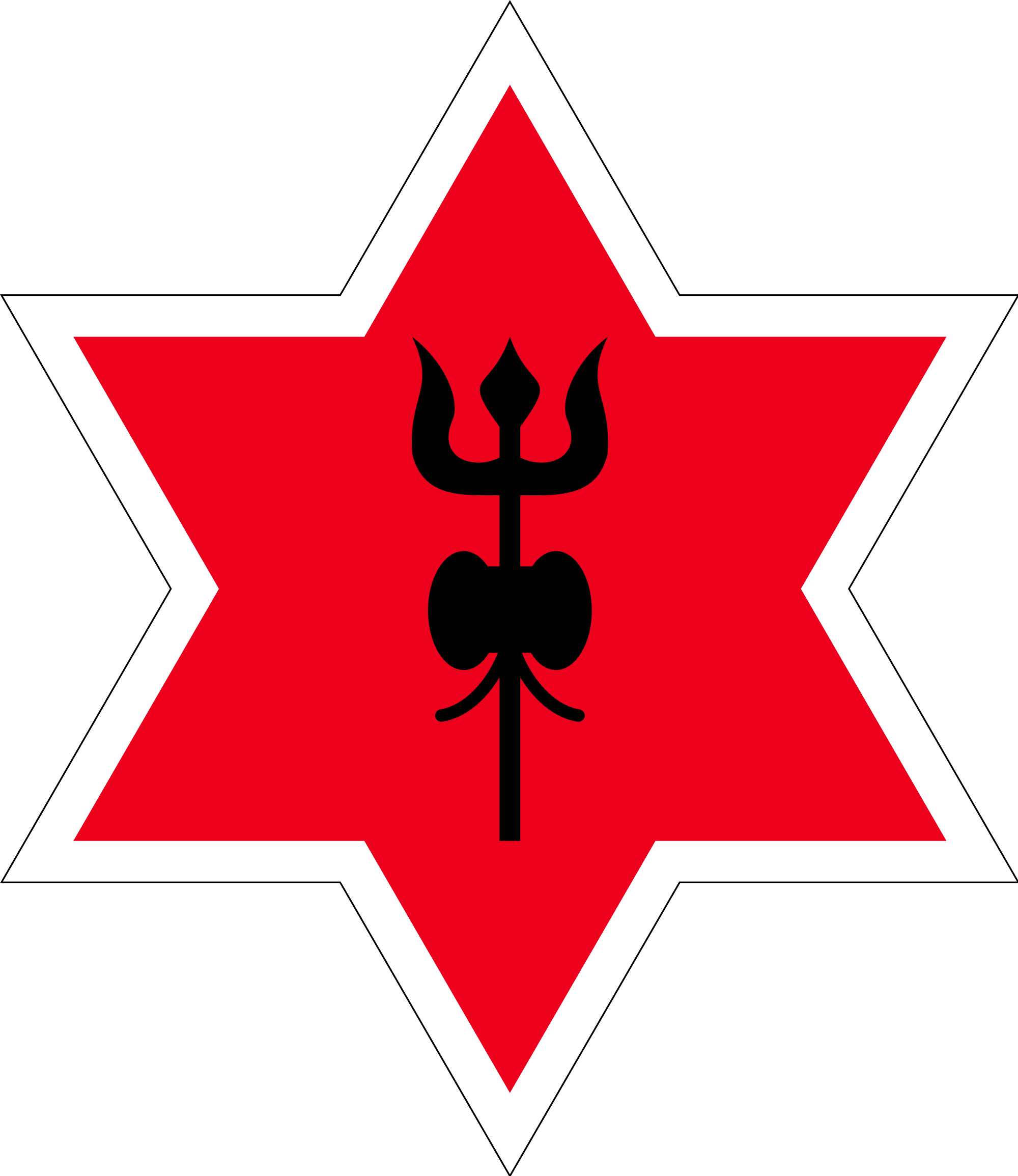 सेनाले तीन दिने वृहत प्रदर्शन गर्ने