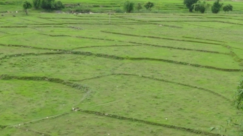 मुक्त हलियालाई आवास बनाउन जग्गा खोजी