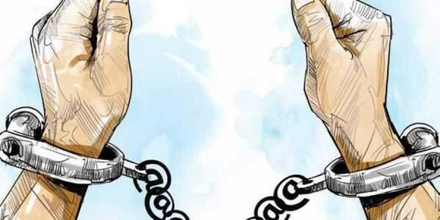रुख काट्दै गर्दा पक्राउ