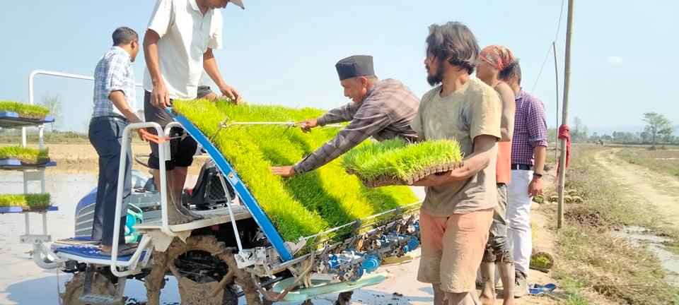 चारपाङग्रे धान रोप्ने मेसिन भित्र्याइयो