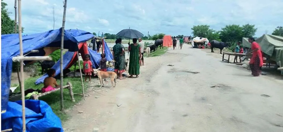कैलालीका बाढी प्रभावित क्षेत्रमा सर्पको त्रास
