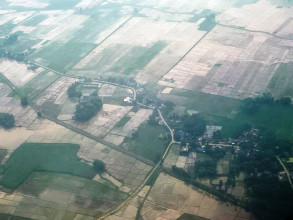 देशभर ५० प्रतिशत धान रोपाइँ सम्पन्न