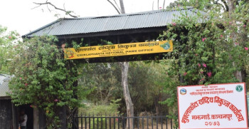 शुक्लाफाँटा राष्ट्रिय निकुञ्जमा  बाघ गणना सुरु