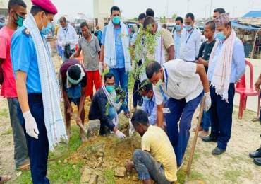 राष्ट्रिय वृक्षारोपण दिवसको अवसरमा डिभिजन वन कार्यालय पर्साद्वारा वृक्षारोपण अभियान शुरु