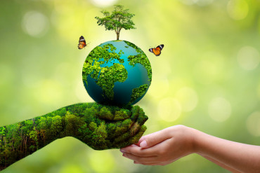 आज विश्व वातावरण दिवस