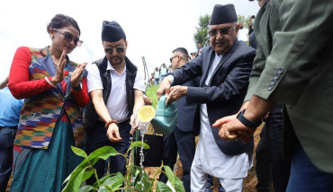प्रधानमन्त्रीद्वारा वृक्षरोपण महाअभियान शुभारम्भ