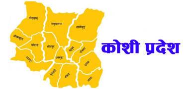 कोशी प्रदेशका सबै जिल्ला पूर्णखोप सुनिश्चिता घोषणा
