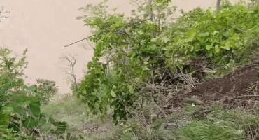 कर्णाली नदीमा मिनीबस खस्यो, उद्धार जारी