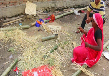डालो, नाङ्लो र टालुटपरी बनाउन भ्याइनभ्याइ