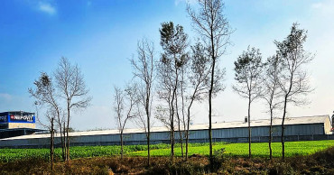 नेपालमा टायल उत्पादन सुरु