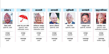 यसरी मिल्यो सातै प्रदेशमा सत्ता साझेदारको भागबन्डा