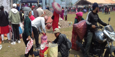 आलु महोत्सवमा पाँच करोडको आलु बिक्री