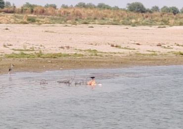 बाढीले बगाउँदा मलामीको मृत्यु