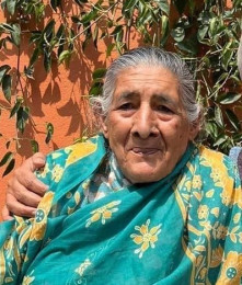 सांसद भण्डारीकी आमा हरिकलाको मृत्यु