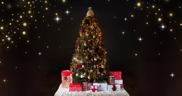 आज क्रिसमस डे मनाइँदै