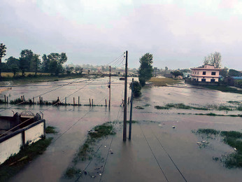 झरी पर्न थालेपछि कैलालीका किसान खुसी
