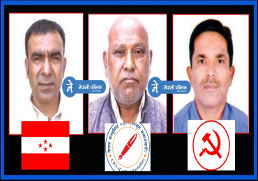 मधेस प्रदेशः तिन समितिका सभापति चुनिए, लोसपाले पाएन लेखा समिति !