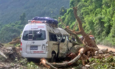 धादिङमा गुडीरहेको माईक्रोमाथी रुख ढलेपछी...