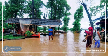 कञ्चनपुरमा भिषण बाढी, २५० घर डुबानमा ! यस्तो छ अवस्था