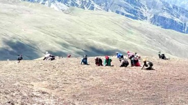 यार्सा टिप्न गएकी २२ वर्षिया यूवतीको मृत्यू