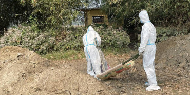 बर्डफ्लु लागेका ६ हजार कुखुरा नष्ट गरियो