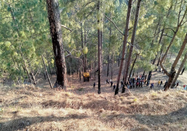 बैतडीमा टिप्पर दुर्घटना : थप एकको मृत्यु