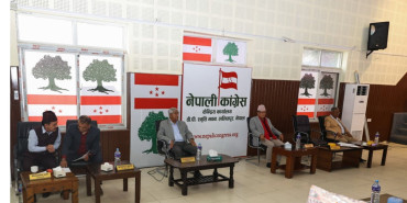 कांग्रेसले संविधान संशोधनका लागि कार्यदल गठन गर्ने