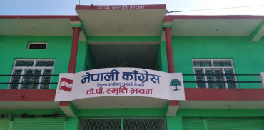 कैलालीमा बागी उम्मेदवार दिएका १० जना कांग्रेसबाट निष्कासित