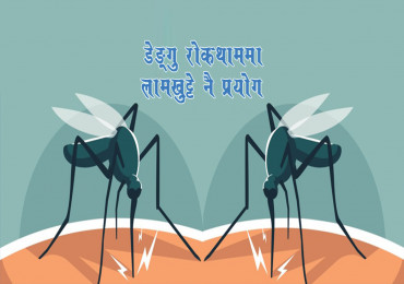 खोटाङमा आठ जनामा डेङ्गु सङ्क्रमण