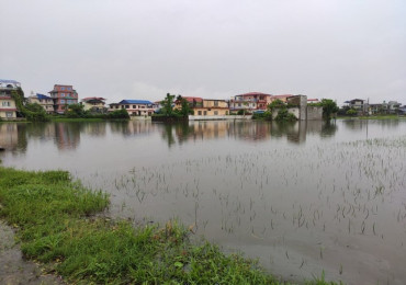 शहरी क्षेत्रमा जमेको पानी मानव स्वास्थ्यका लागि हानिकारक