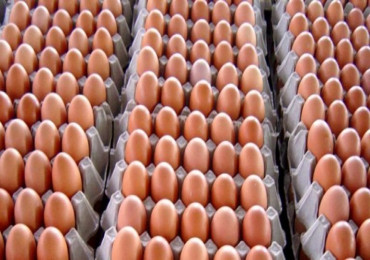 अण्डाको उत्पादन घटेसँगै मूल्यमा वृद्धि