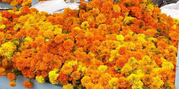 तिहारमा फुल र माला पाउनै मुस्किल