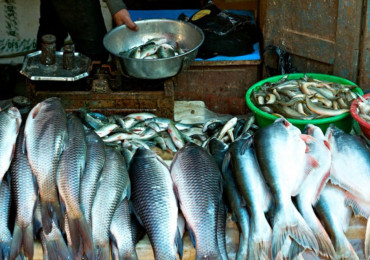 अनुगमन टोली पुगेपछि कालीमाटी तरकारी बजारका व्यापारीको भागाभाग