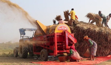 कैलालीमा थ्रेसरमा हात च्यापिँदा ४१ वर्षीय धामी गम्भीर घाइते