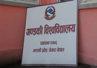 कोदोको रक्सी ‘ब्रान्डिङ’ गर्न अनुसन्धान