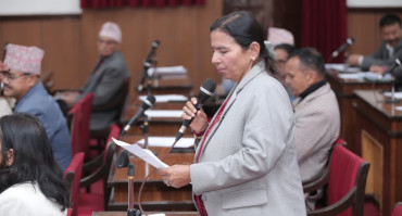 चुनावी अभियानमा राष्ट्रिय झण्डाको प्रयोगमा रोक लगाउन माग