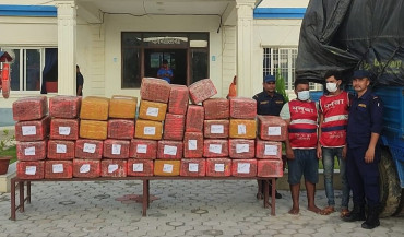 ६ क्विन्टल तयारी गाँजासहित २ जना पक्राउ