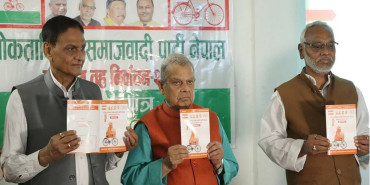 यस्ता छन् लोसपाको १४ प्रतिबद्धता