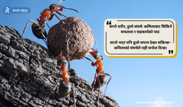 सानो शरीर, ठूलो संघर्षः कमिलाबाट सिकिने सफलता र सहकार्यको पाठ