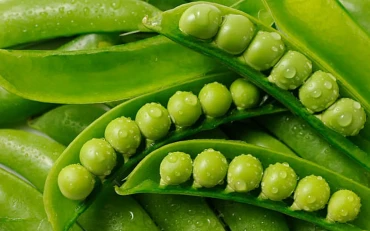 जाडोमा हरियो मटर खानुका यी हुन ८ अद्भुत फाइदा