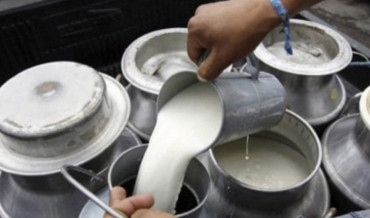 आज विश्व दूध दिवस मनाइँदै