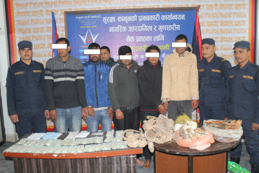 कैलालीबाट नक्कली नोट, बाघको हड्डी र जडिबुटी सहित ५ जना पक्राउ