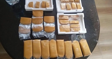 बुढानीलकण्ठबाट बरामद साढे २१ किलो सुन भन्सार कार्यालयलाई हस्तान्तरण