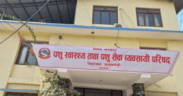 पशु स्वास्थ्य तथा सेवा क्षेत्रमा १७ हजार ८२ व्यवसायी सूचीकृत